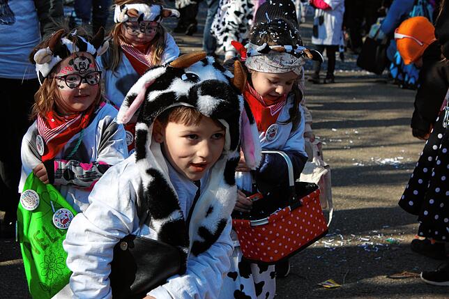 Bild 6: Fasnacht-Umzug 2025 in Wutöschingen: 41 Gruppen bringen viel Freude