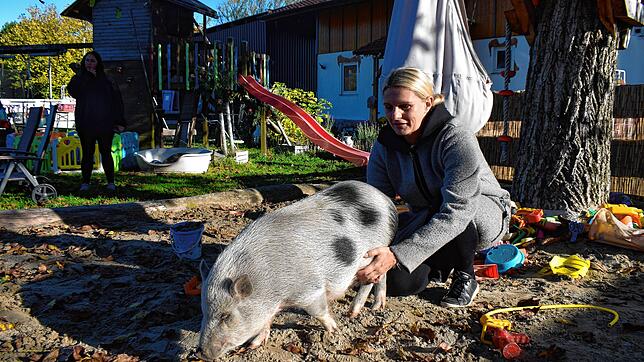 Bei Bianca Hartlaub in Grenzach-Wyhlen haben die Kinder Kontakt zu ganz vielen Tieren.