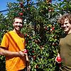 Sie brechen eine Lanze für das Obst aus der Region und starten am Samstag in Konstanz und dem Umkreis eine Apfelaktion : Andre Löhle ...