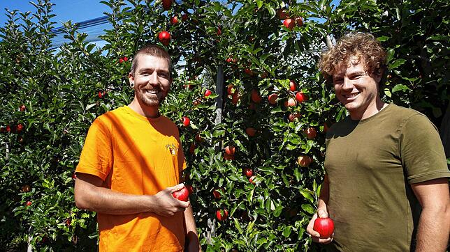 Sie brechen eine Lanze für das Obst aus der Region und starten am Samstag in Konstanz und dem Umkreis eine Apfelaktion : Andre Löhle ...