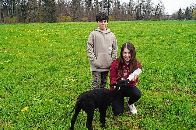 Marie und Matheo, die Kinder der Hofbetreiber, kümmern sich gern um die Flaschenkinder, wie hier Lämmchen Simon.
