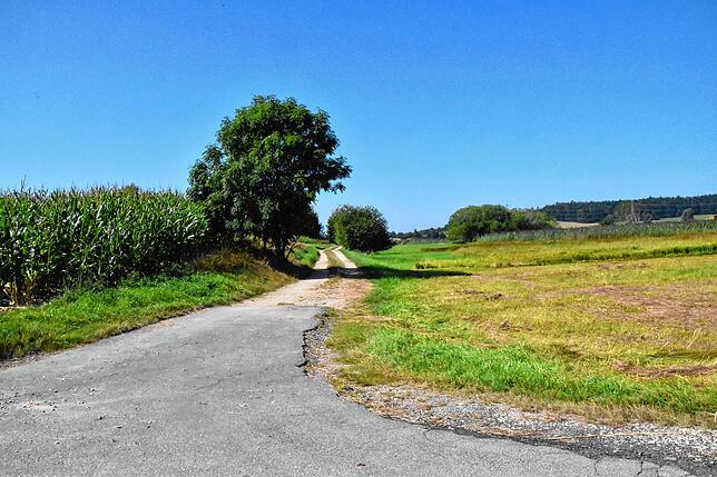Dieser Feldweg ist einer derjenigen, die nach dem Rückbau der Kreisstraße nicht mehr direkt angefahren werden können.