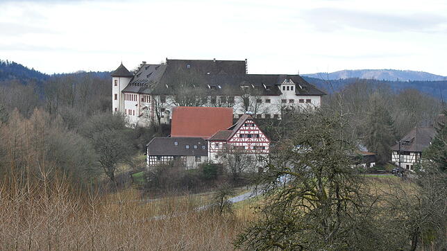 Die Burg Hohenfels in der Gemeinde Hohenfels auf einem Archivbild: Nun ist klar, wer der neue Eigentümer sein soll.