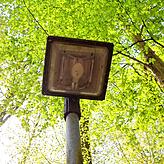 Die Beleuchtung in der Fontainebleauallee könnte künftig wegfallen. Das Kreisforstamt möchte den Lorettowald wieder naturnäher ...
