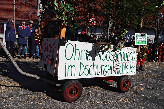 Bild 22: Umzug am Fasnetmentig begeistert hunderte Zuschauer