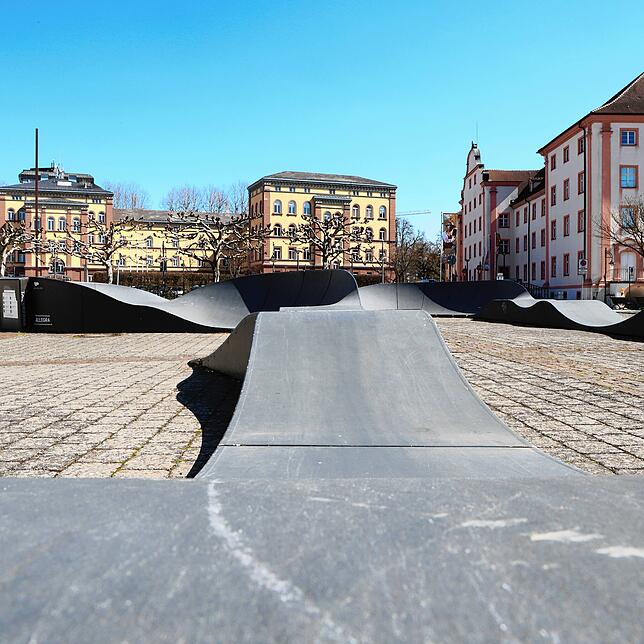 Bild 1: Zwischen Betonwüste und Blütenmeer &ndash; Wo finden Konstanzer eigentlich den Frühling in der Stadt?