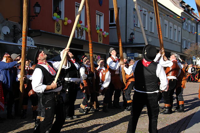Bild 1: Der 32 Meter hohe Narrenbaum in Stockach steht