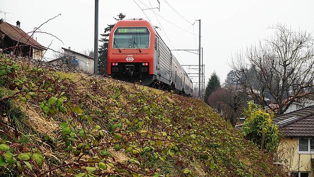 Eine enge Angelegenheit wird der Doppelspurausbau in Lottstetten werden. Das zweite Gleis soll zwischen dem bestehenden Gleis und der ...