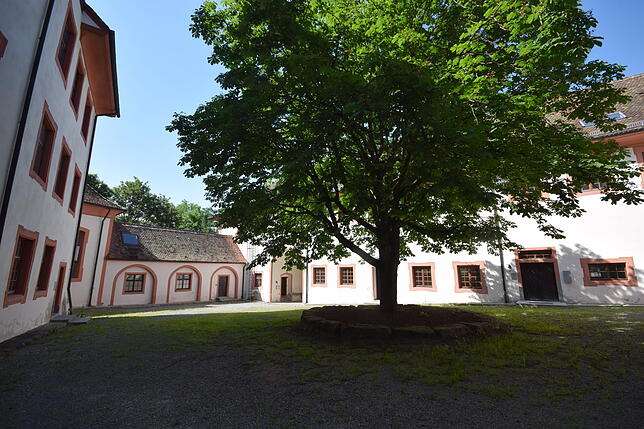 Im Schlosshof steht ein großer Baum. Links hinten ist ein Teil der Kapelle zu sehen.