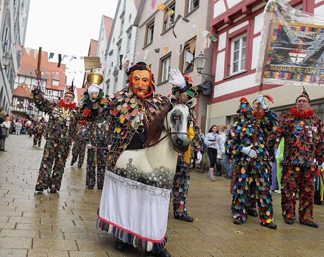 Bild 46: Tausende Hästräger und Musiker in Pfullendorf: Bilder vom Umzug (2)