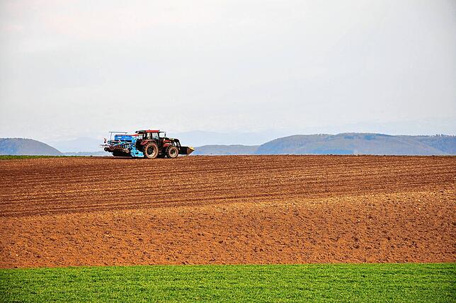 Auf der Höhe über Untermettingen östlich des Römerwegs breiten sich die landwirtschaftlichen Felder in malerischer Landschaft aus. Hier ...