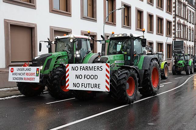 Bild 16: Traktoren umrunden die Stadt: Jetzt demonstrieren die Landwirte auch in Konstanz!