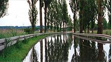 Wenn es Hochwasser am Untersee gibt, ist die Straße zwischen Radolfzell und Moos so ziemlich die erste, die unter Wasser steht. Das war ...