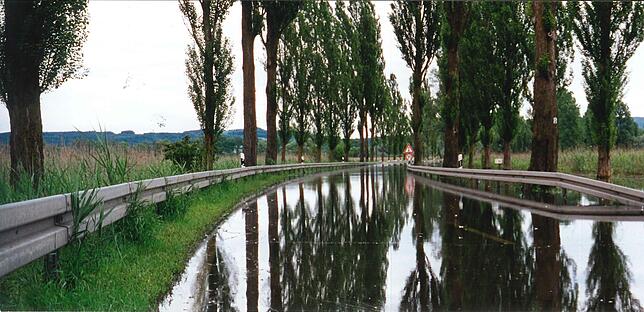 Wenn es Hochwasser am Untersee gibt, ist die Straße zwischen Radolfzell und Moos so ziemlich die erste, die unter Wasser steht. Das war ...