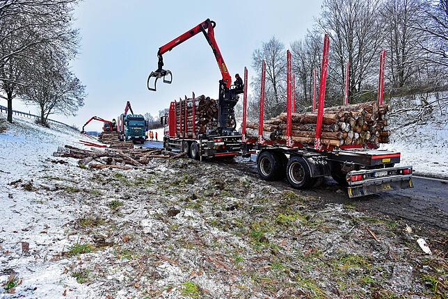 Die Baumstämme werden mit Greifarmen auf Ersatzfahrzeuge für Langholz geladen.
