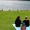 Gänse am Strand, Menschen auf der Wiese &ndash; die Behörden sehen das Miteinander nicht so harmonisch.