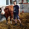 Hier steht Jan Mayer im Stall seiner Kühe. Der Engener Landwirt zeigt die Problematiken von regionalen Fleischprodukten auf und erklärt ...