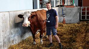 Hier steht Jan Mayer im Stall seiner Kühe. Der Engener Landwirt zeigt die Problematiken von regionalen Fleischprodukten auf und erklärt ...