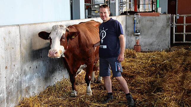 Hier steht Jan Mayer im Stall seiner Kühe. Der Engener Landwirt zeigt die Problematiken von regionalen Fleischprodukten auf und erklärt ...