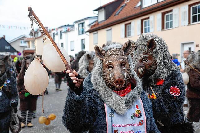 Bild 6: So bunt war der große Umzug beim Seenarrentreffen in Allensbach 2024 &ndash; Teil 3