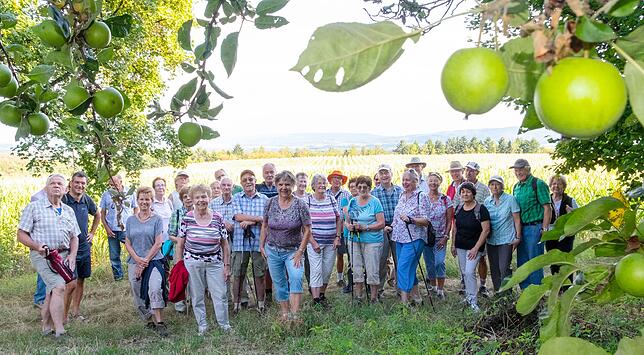 Die Äpfel der Erkenntnis, in welch‘ schöner Region die Menschen hier leben, wachsen für die SÜDKURIER-Wanderer manchmal nicht zu hoch.