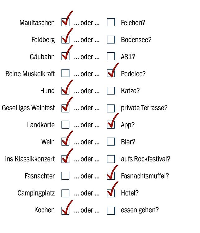 Bild 1: Bundestagswahl 2021: Kandidat Jan-Lukas Schmitt (Grüne) will für den Wahlkreis Waldshut in den Bundestag