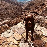 Hund Yoko ist immer dabei. Hier entdeckt er eine Schlucht in Griechenland.