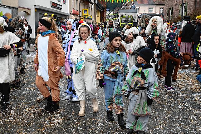 Bild 9: Großer Umzug in Tennenbronn mit 20 Musik- und Narrengruppen