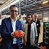 Ganz schön schwer: Bundeslandwirtschaftsminister Cem Özdemir (Grüne) mit einer Ochsenherz-Tomate in den Lagerhallen der Gemüseerzeuger ...