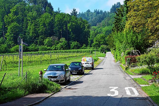Die Planung für vermietbare Parkplätze am Königsweingarten in Bodman ist wieder auf dem Tisch. Wo jetzt Längsparkplätze sind, könnten 79 ...