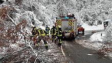 Am vergangenen Wochenende waren die Abteilungen der Feuerwehr durchgehend im Einsatz, hier die Feuerwehr Bodman-Ludwigshafen bei einem ...