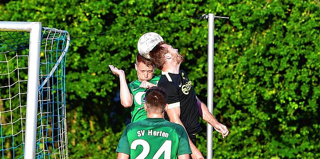 Bild 15: SV Herten besiegt den TuS Efringen-Kirchen mit 3:1 &ndash; und wir haben Bilder!