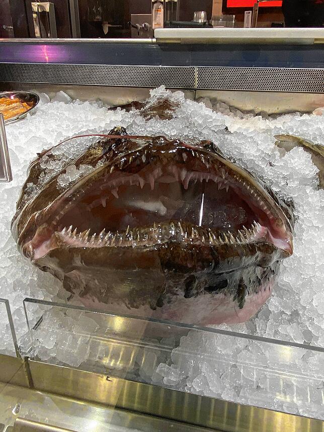 Hingucker in der Fischtheke: Der große Seeteufel.