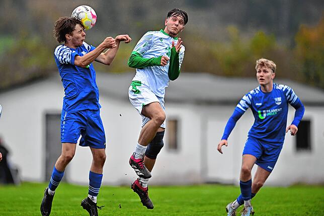 Bild 33: FC Hauingen besiegt den SV Herten mit 4:1 – und wir haben Bilder!