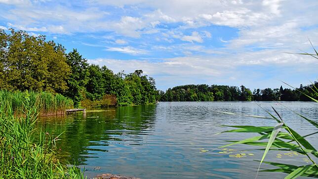 Dank des Steißlinger Sees hat die Gemeinde eine besondere Möglichkeit zur Abkühlung in heißen Sommern, die immer extremer werden. Und ...