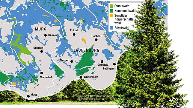 Bild : Laufenburg profitiert von ökologischen Ausgleichsmaßnahmen für die Öffnung der Albtalstraße