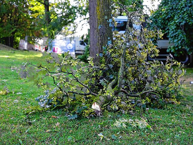 Bild 12: Bodensee: Fotos vom schweren Unwetter und den Schäden!