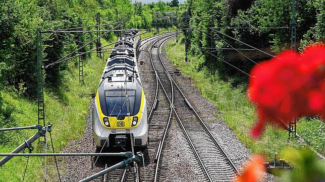 Ein Zug auf der Gäubahnstrecke – deren Unterbrechung ist eigentlich ein Fluch für die Region. An einigen Stellen soll es nun aber auch ...