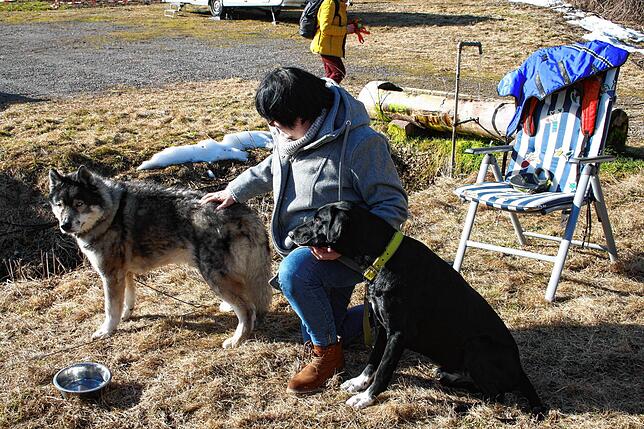 Bild 14: Bilder vom Husky-Camp und Huskyfiebermarkt in Todtmoos