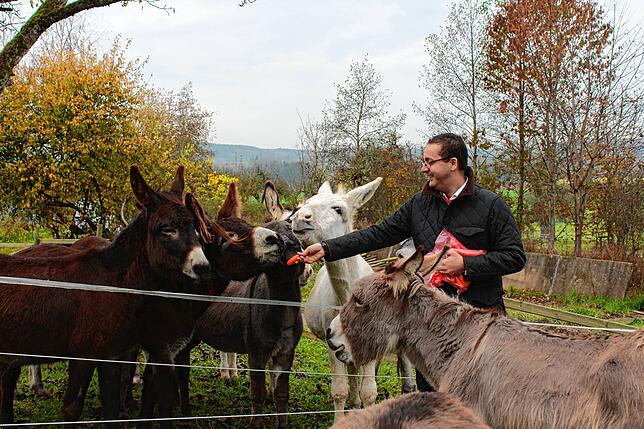 Besonders gerne fressen die Esel Karotten. Max Büttiker wird gleich von mehreren Tieren umringt, als er das Gemüse hervorholt.