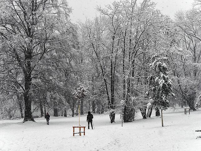 Pause gefällig? Diese Bank im Staader Hörlepark ist bei wärmeren Temperaturen sehr beliebt.