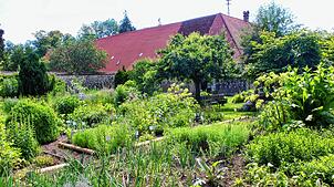 Der Kräutergarten wurde 1991 auf Initiative der pädagogischen Arbeitsstelle für Erwachsenbildung (PAE) angelegt. Seit Auflösung der PAE ...