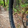 Blick durch einen Fahrradreifen auf eine Mountainbikeroute im Bikepark Schienerberg: Der Gemeinderat Moos hat sich jetzt gegen noch mehr ...
