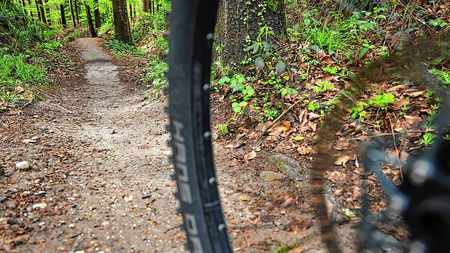 Blick durch einen Fahrradreifen auf eine Mountainbikeroute im Bikepark Schienerberg: Der Gemeinderat Moos hat sich jetzt gegen noch mehr ...