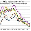 Bild :