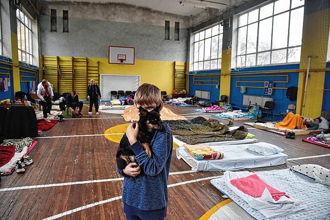 Ein Junge trägt am 7. März einen Hund auf dem Gelände einer der Schulen, die vor der russischen Invasion für die Unterbringung von ...
