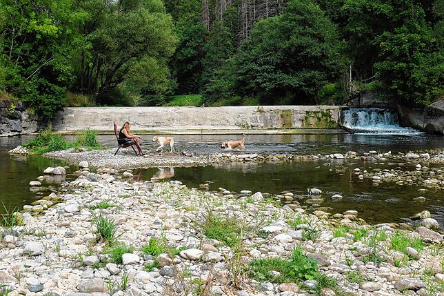 Entspannte Pause für Mensch und Tier in der Wutach bei Eggingen.