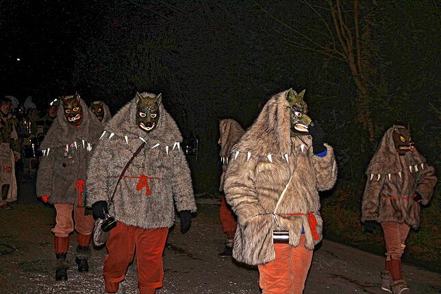 Bild 26: Bilder vom Nachtumzug beim Kleggau-Narrentreffen am Samstag