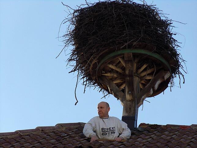 Andreas Zwick betrachtet die Lage mal von Oben, bevor das alte Nest abgebaut wurde. Hier sieht man, wie schief der Nestaufbau ist. Bild: ...