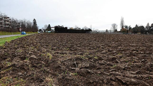 Diese Ackerfläche an der Mainaustraße am Ortseingang Allmannsdorf soll zum Neubaugebiet Jungerhalde West werden. Grünen-Stadtrat Peter ...